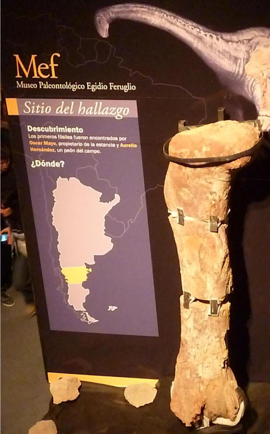 Departamentos Ensuenos Lejlighed Trelew Eksteriør billede